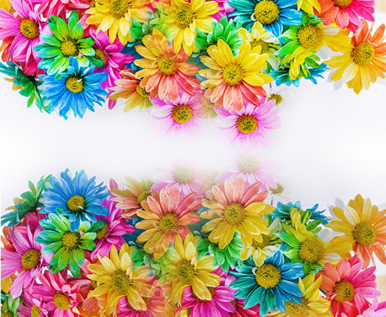 Perfect Viewing Experience From High Contrast